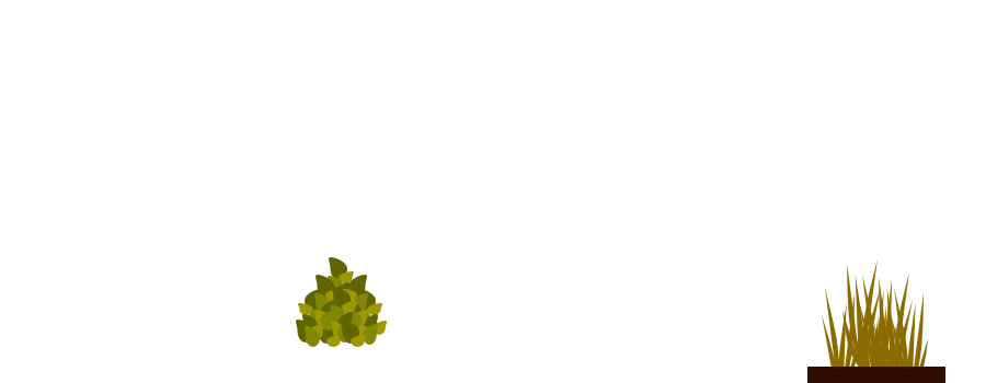 Small green shrub beside potted dry grass